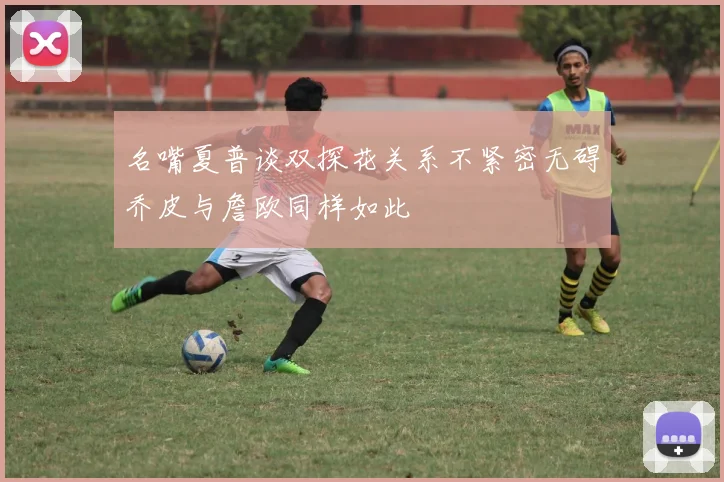 名嘴夏普谈双探花关系不紧密无碍乔皮与詹欧同样如此