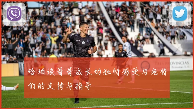 哈珀谈哥哥成长的独特感受与老将们的支持与指导